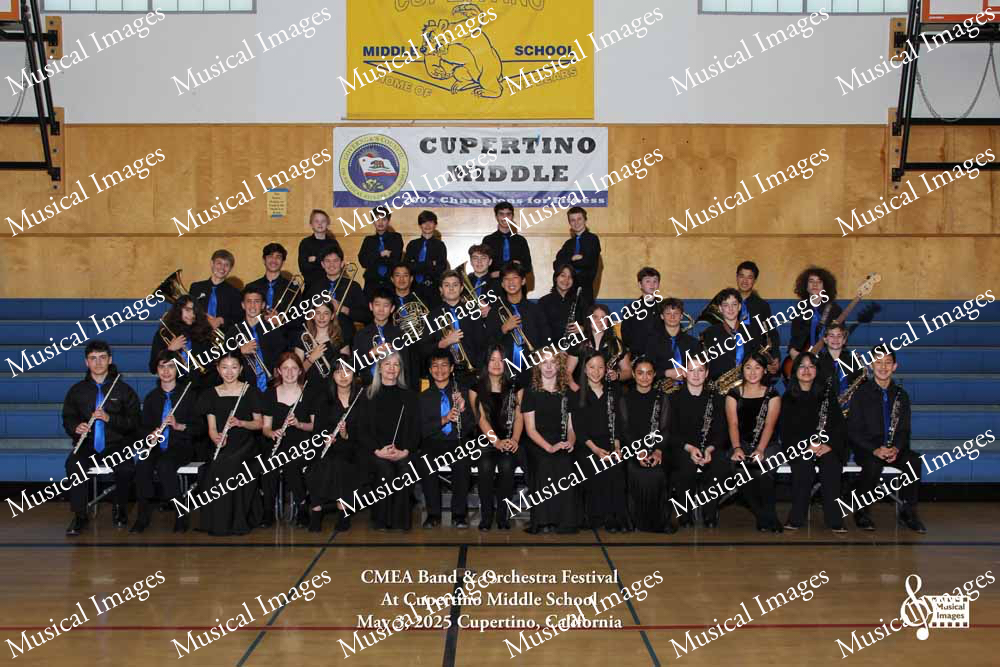 Musical Images